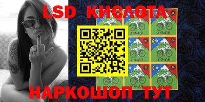 кокс Гатчина