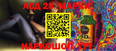 кокс Гатчина