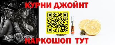кокс Гатчина