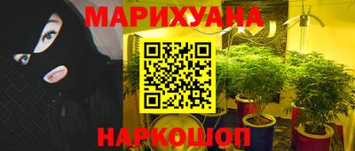 прущие грибы Гай