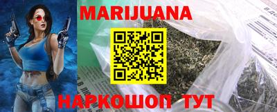 кокс Гатчина