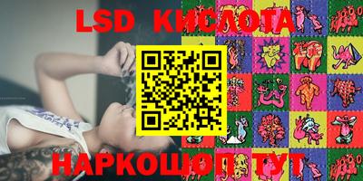 ПСИЛОЦИБИНОВЫЕ ГРИБЫ Аргун