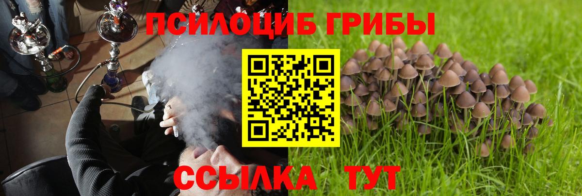 Псилоцибиновые грибы Cubensis  Вход с VPN  Галлюциногенные грибы прущие грибы  Омск 